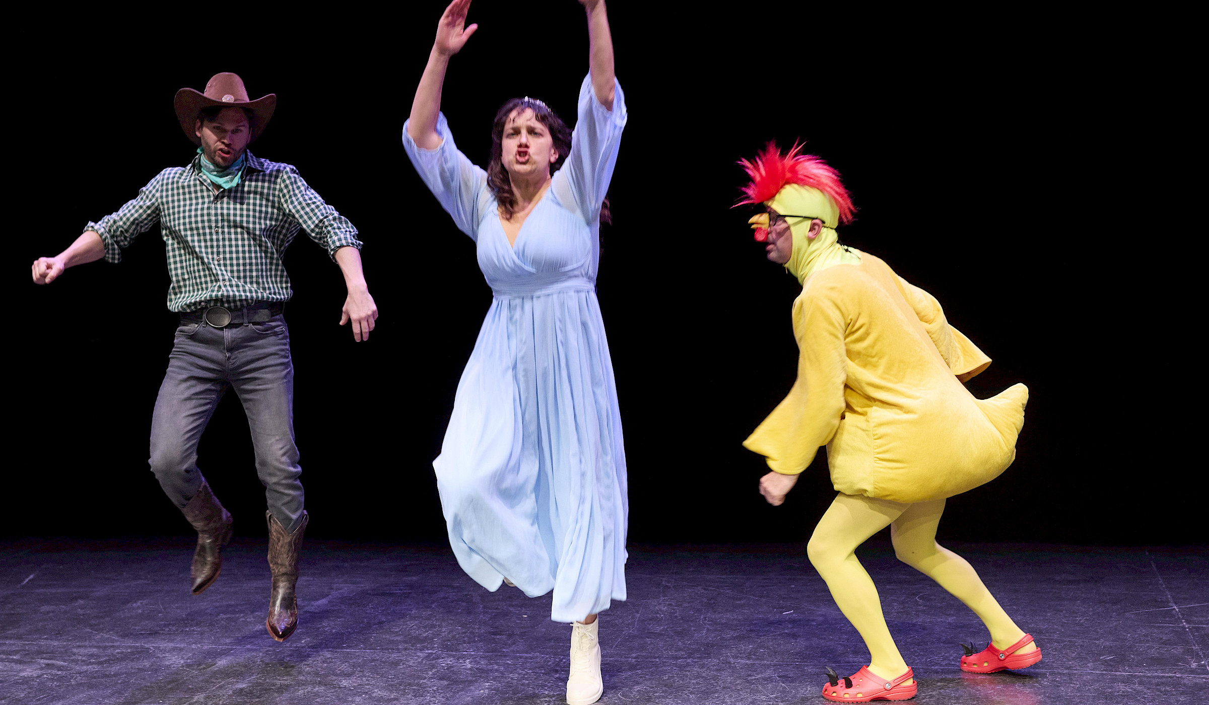 Der Cowboy, die Prinzessin und das Huhn